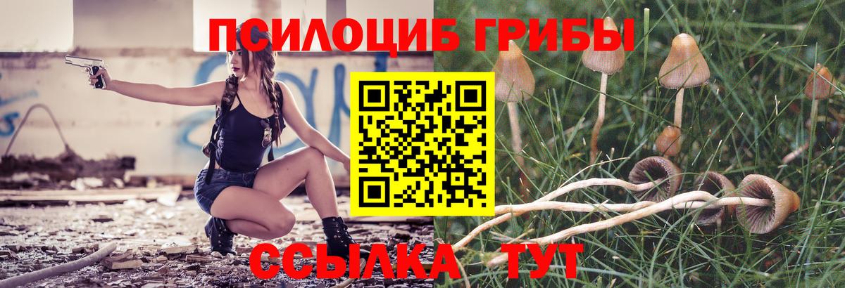 Хабаровск  Галлюциногенные грибы ЛСД  Вход с VPN  Псилоцибиновые грибы ЛСД 